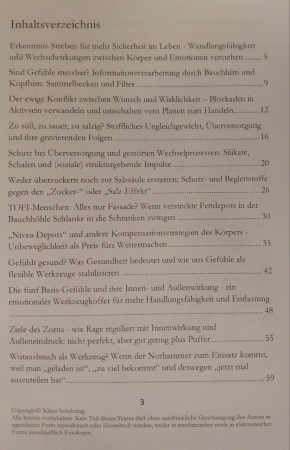 Die Wut und die Ordnung, Klaus Schubring, 164 Seiten