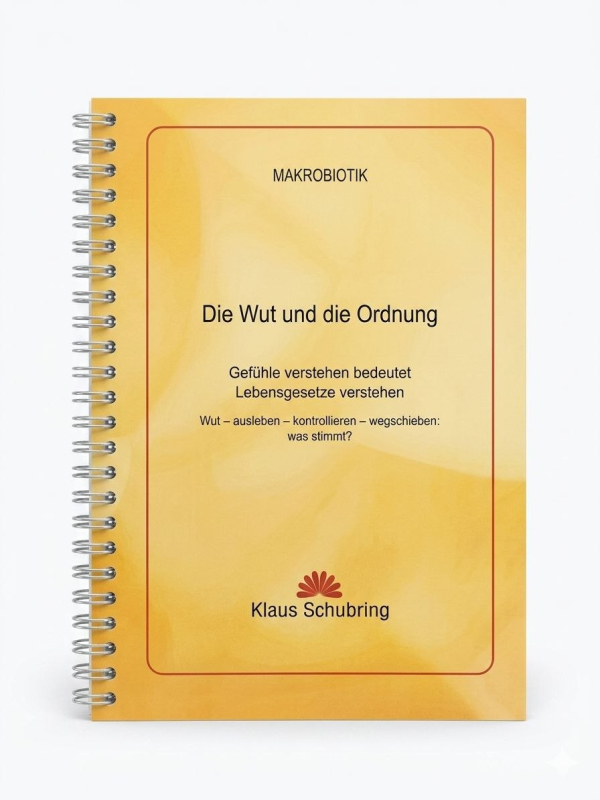 Die Wut und die Ordnung, Klaus Schubring, 164 Seiten