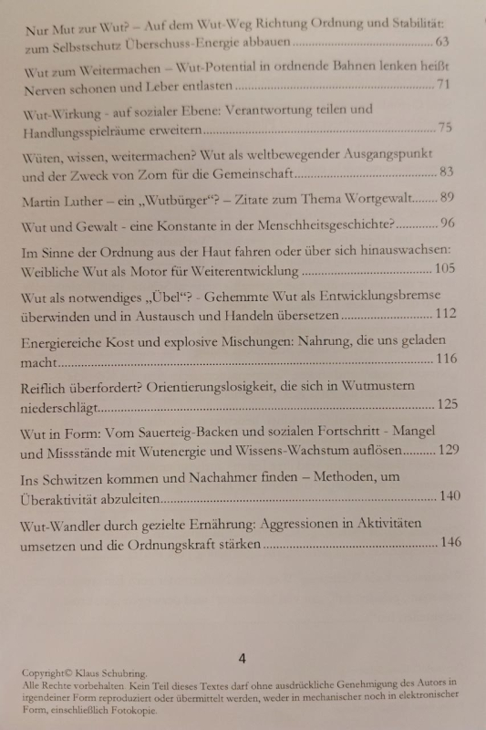 Die Wut und die Ordnung, Klaus Schubring, 164 Seiten