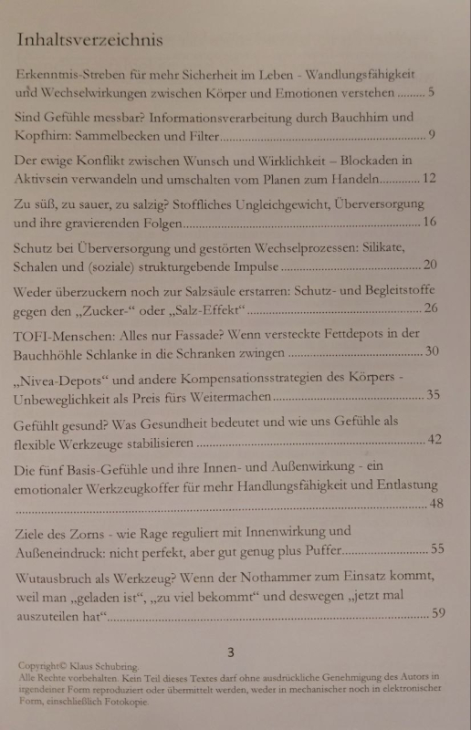 Die Wut und die Ordnung, Klaus Schubring, 164 Seiten